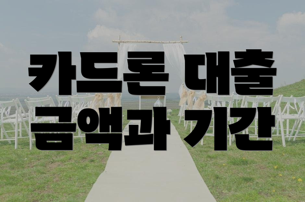 카드론 대출 금액과 기간