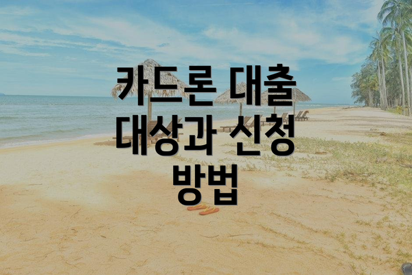 카드론 대출 대상과 신청 방법