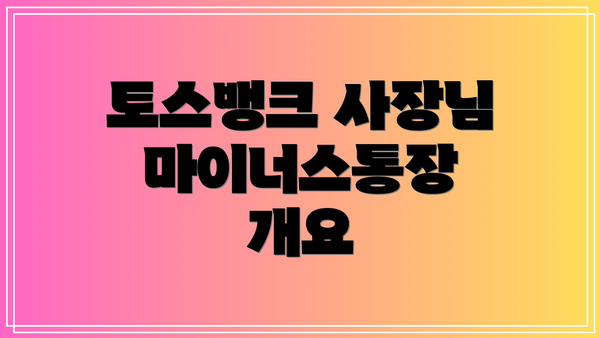 토스뱅크 사장님마이너스통장 개요