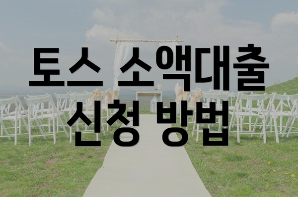 토스 소액대출 신청 방법