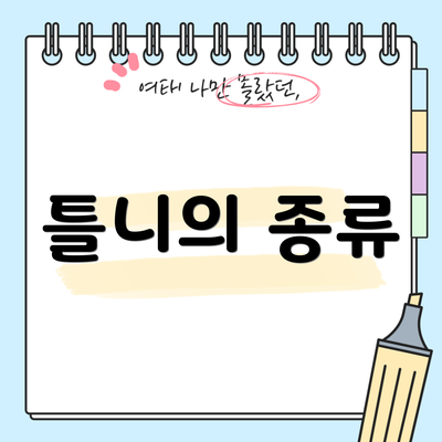 틀니의 종류