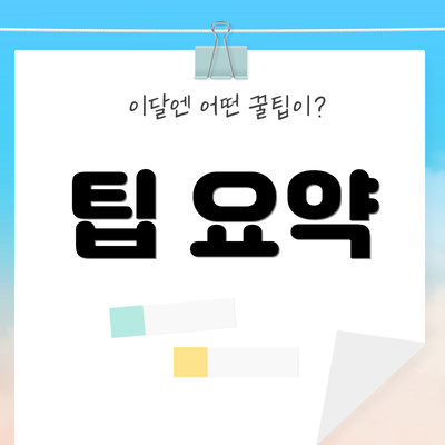팁 요약