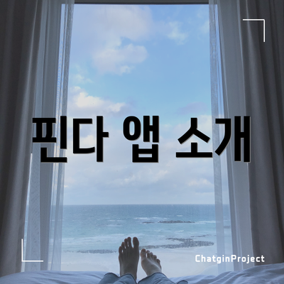 핀다 앱 소개