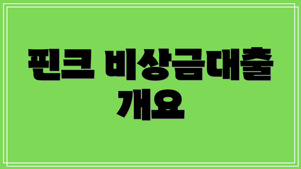 핀크 비상금대출 개요