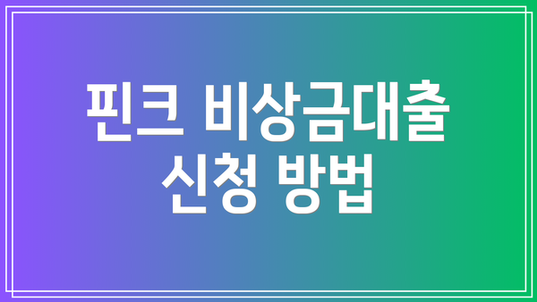 핀크 비상금대출 신청 방법