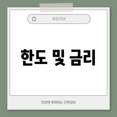 한도 및 금리