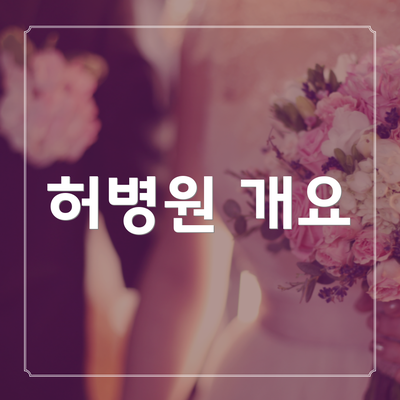 허병원 개요