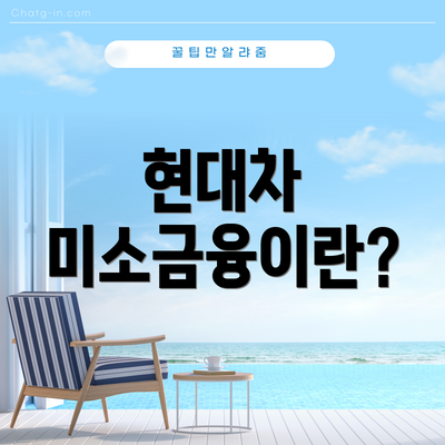 현대차 미소금융이란?