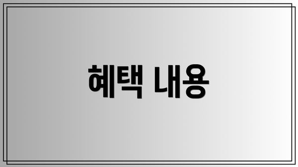 혜택 내용