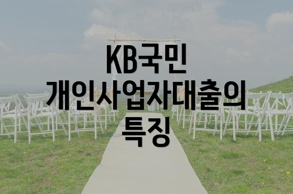KB국민 개인사업자대출의 특징