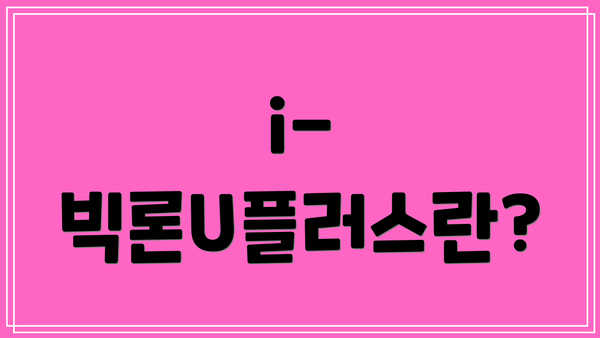 i-빅론U플러스란?