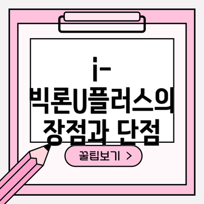 i-빅론U플러스의 장점과 단점