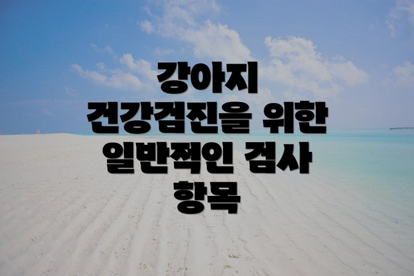 강아지 건강검진을 위한 일반적인 검사 항목