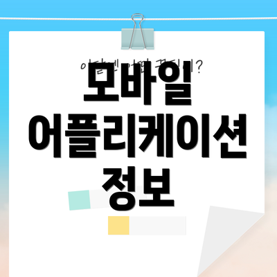 모바일 어플리케이션 정보