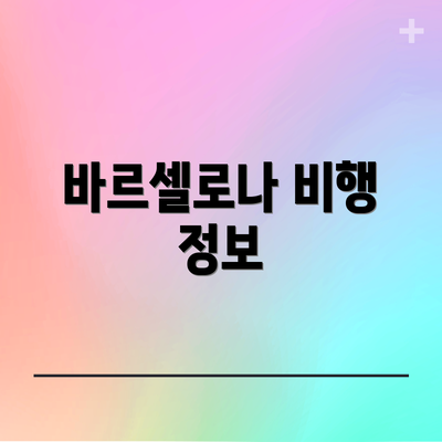 바르셀로나 비행 정보