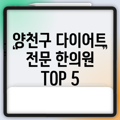 양천구 다이어트 전문 한의원 TOP 5