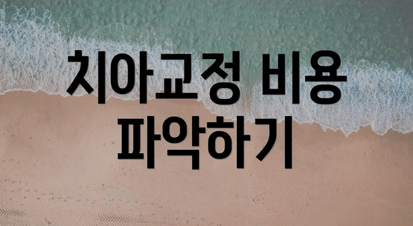 치아교정 비용 파악하기