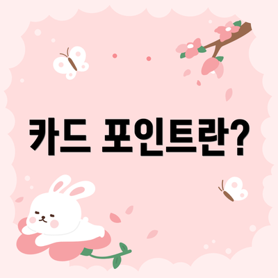 카드 포인트란?