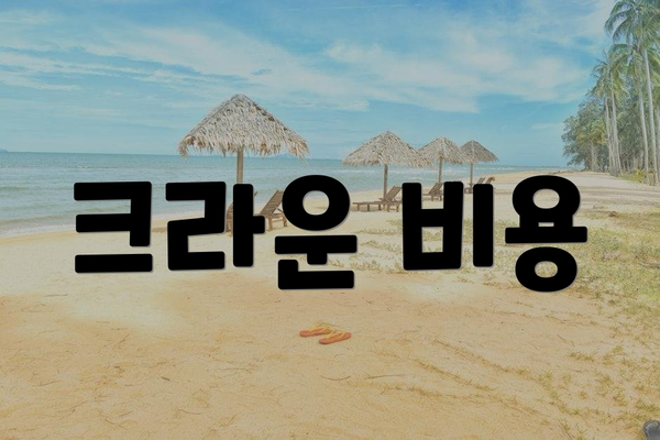 크라운 비용