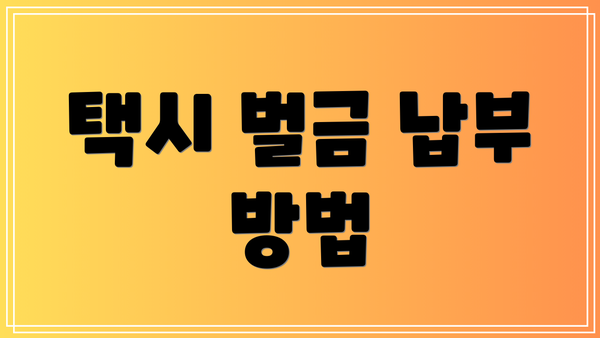 택시 벌금 납부 방법