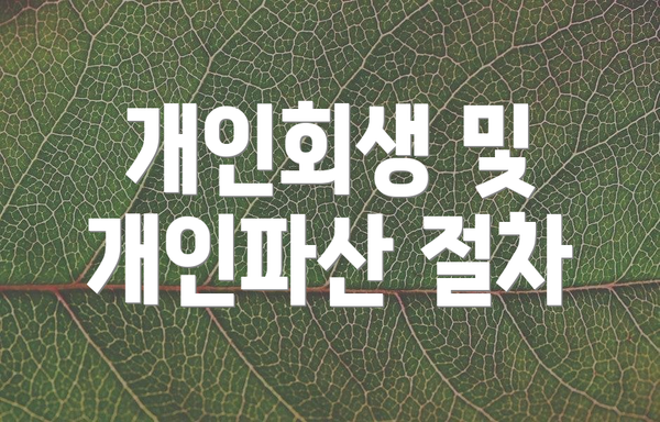 개인회생 및 개인파산 절차