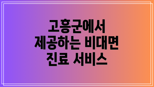 고흥군에서 제공하는 비대면 진료 서비스