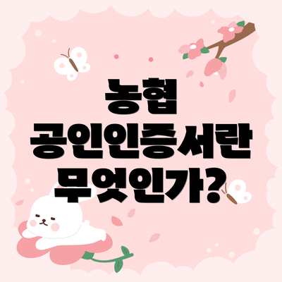 농협 공인인증서란 무엇인가?