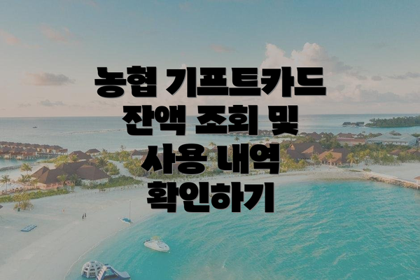 농협 기프트카드 잔액 조회 및 사용 내역 확인하기