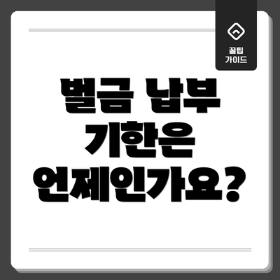 벌금 납부 기한은 언제인가요?