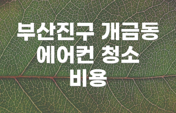부산진구 개금동 에어컨 청소 비용