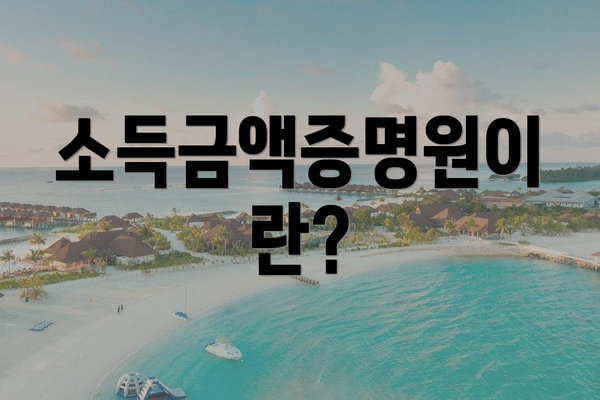 소득금액증명원이란?