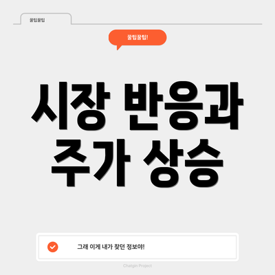 시장 반응과 주가 상승