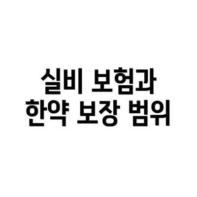 실비 보험과 한약 보장 범위