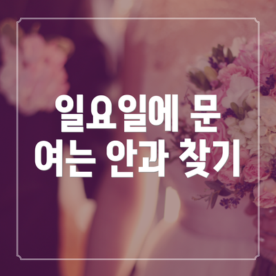 일요일에 문 여는 안과 찾기