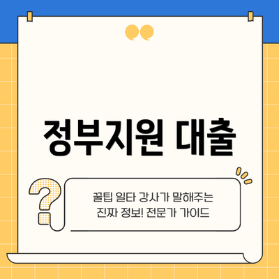 정부지원 대출