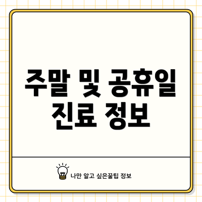 주말 및 공휴일 진료 정보