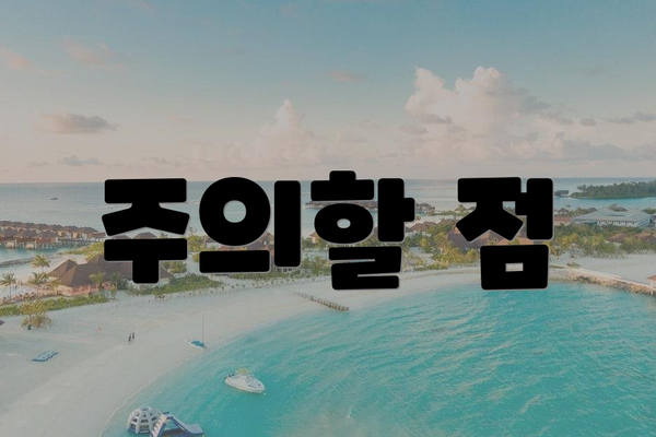 주의할 점