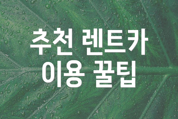 추천 렌트카 이용 꿀팁