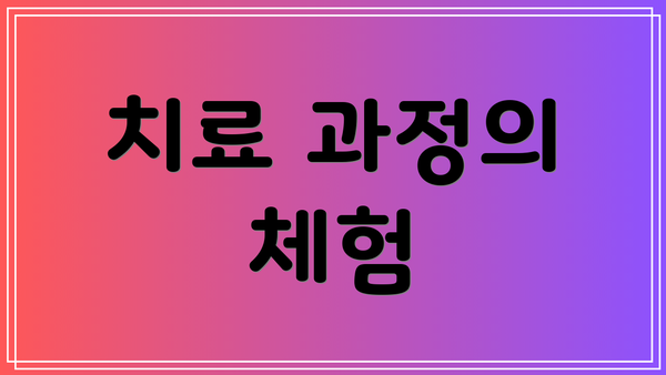 치료 과정의 체험