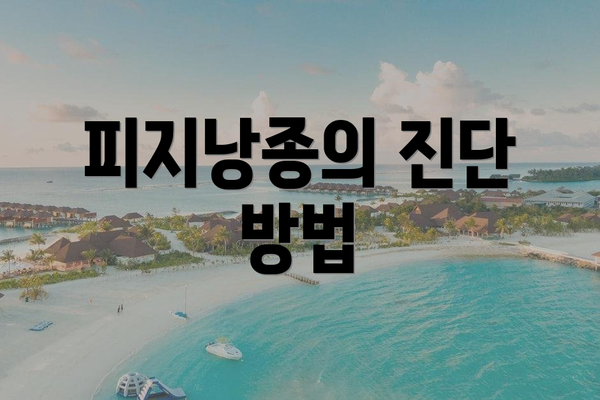 피지낭종의 진단 방법