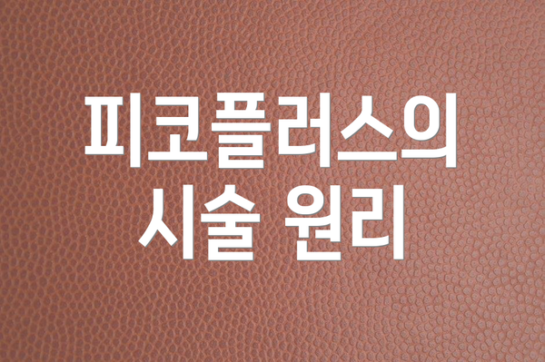 피코플러스의 시술 원리