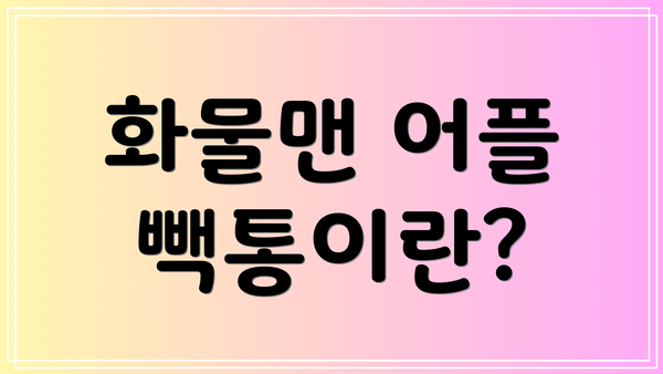 화물맨 어플 빽통이란?