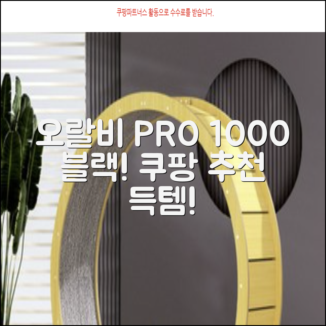 오랄비 전동칫솔, PRO 1000, 블랙, 1개 추천 리뷰