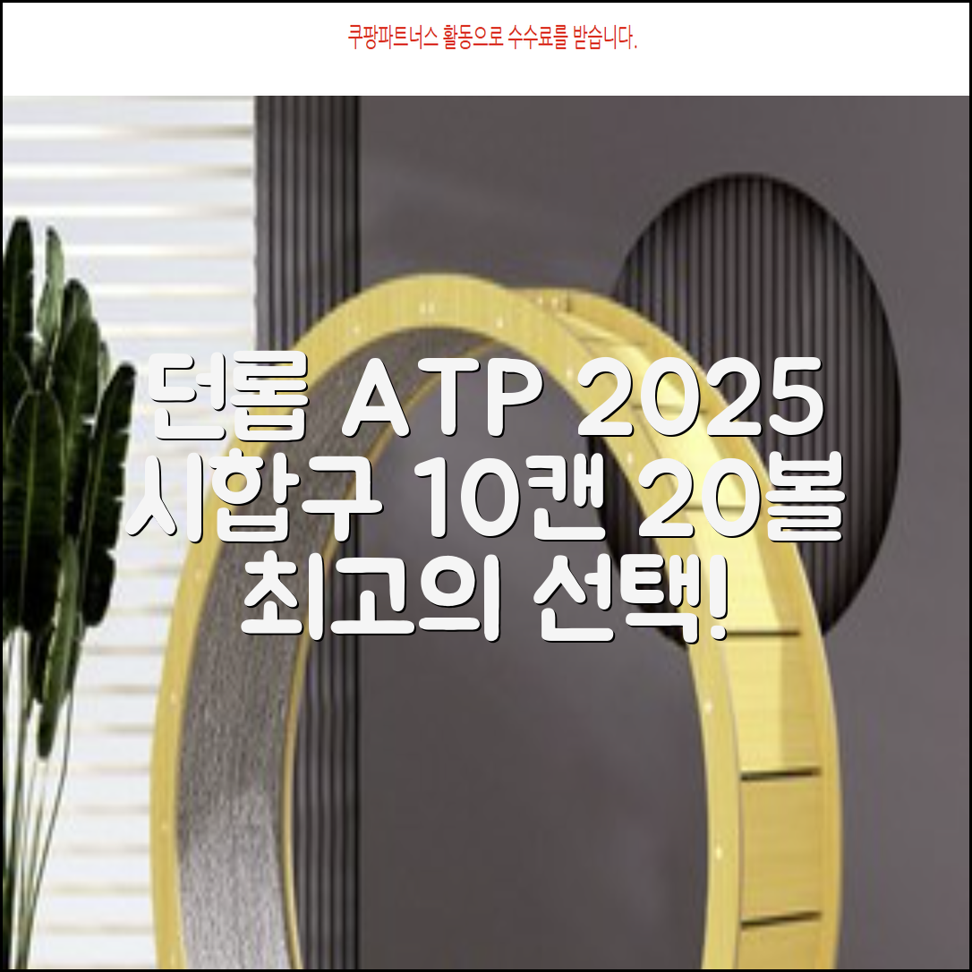2025 던롭 ATP 테니스공 10캔 (20볼) 시합구, 던롭 ATP볼 10캔 (20볼), 10세트 추천 리뷰