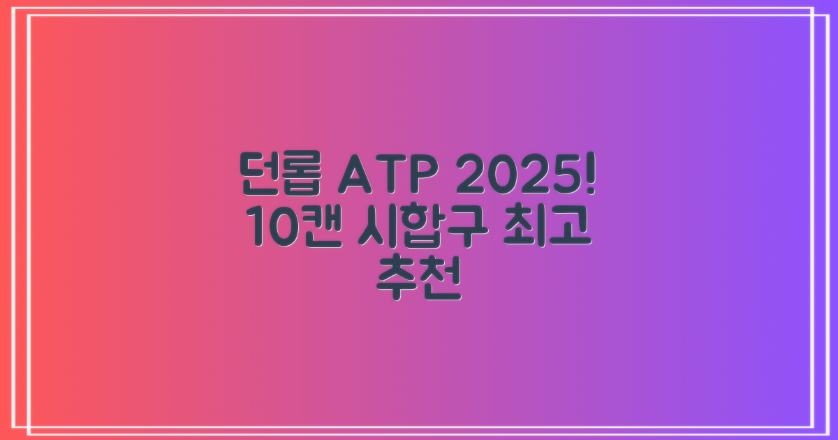 2025 던롭 ATP 테니스공 10캔 (20볼) 시합구, 던롭 ATP볼 10캔 (20볼), 10세트 추천 리뷰