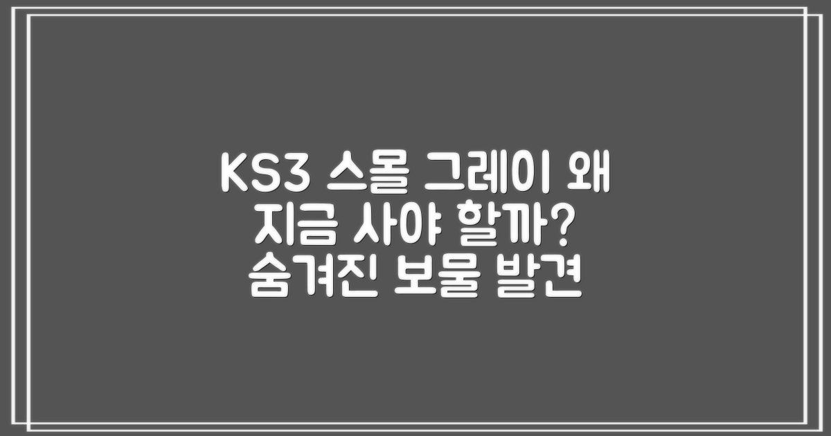 KS3 스몰 그레이, 왜 추천할까?