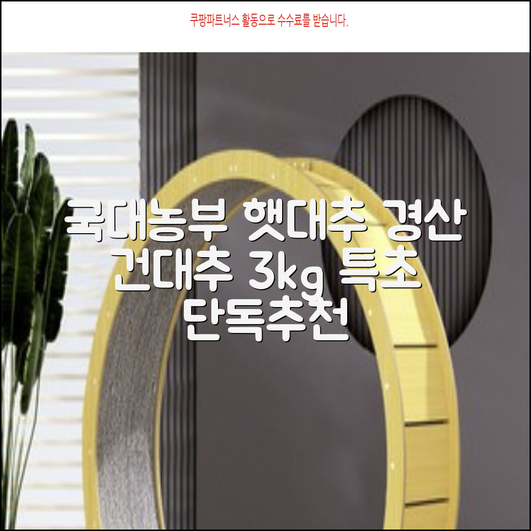 국대농부 경산 햇대추 건대추, 3kg(특초), 1개 추천 리뷰