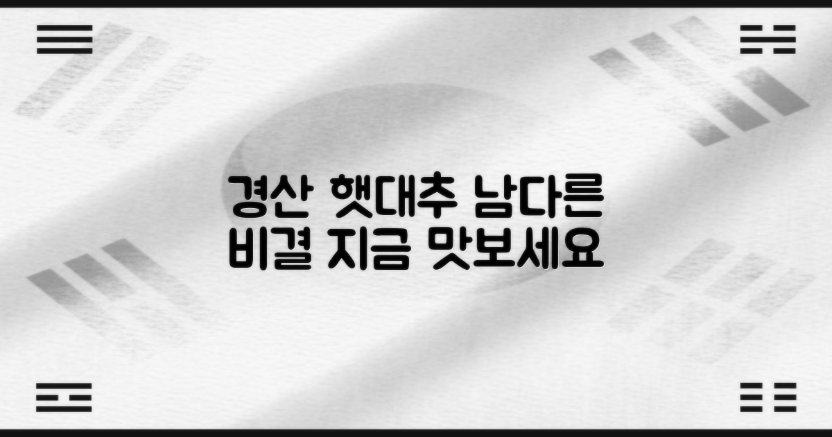 경산 햇대추, 왜 특별할까?